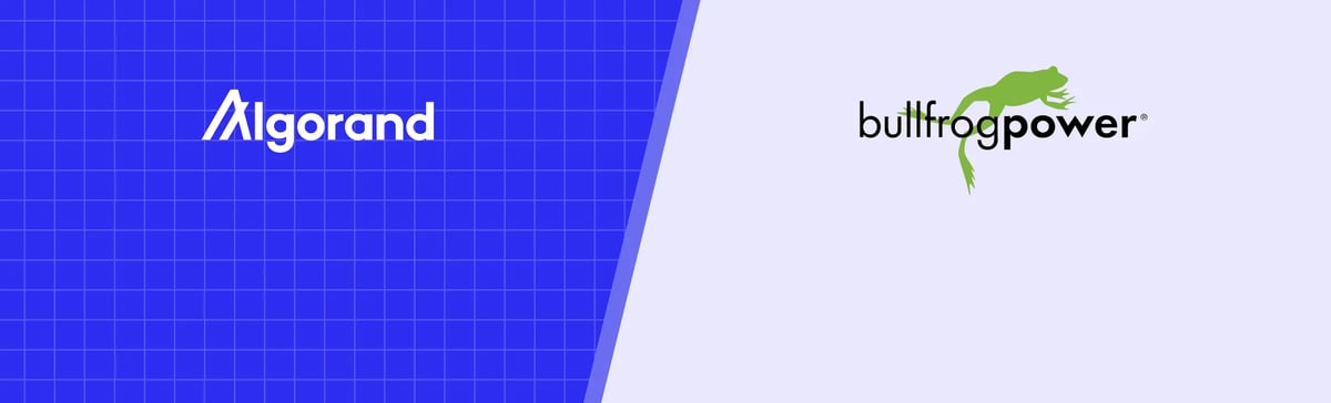 Algorand-bullfrog-staples-blog-cover