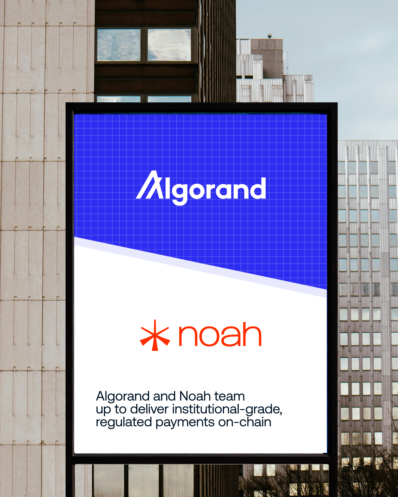 Algorand-partnership-Noah-4x5