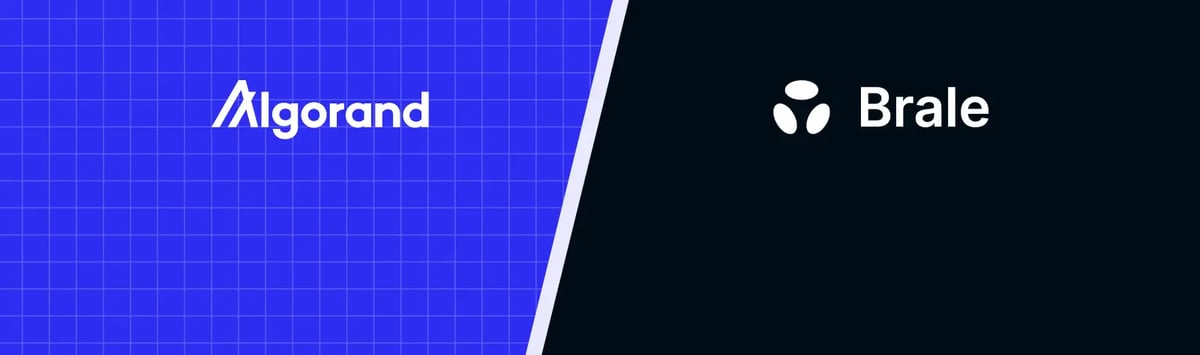 Algorand-partnership-brale-blog-banner-1
