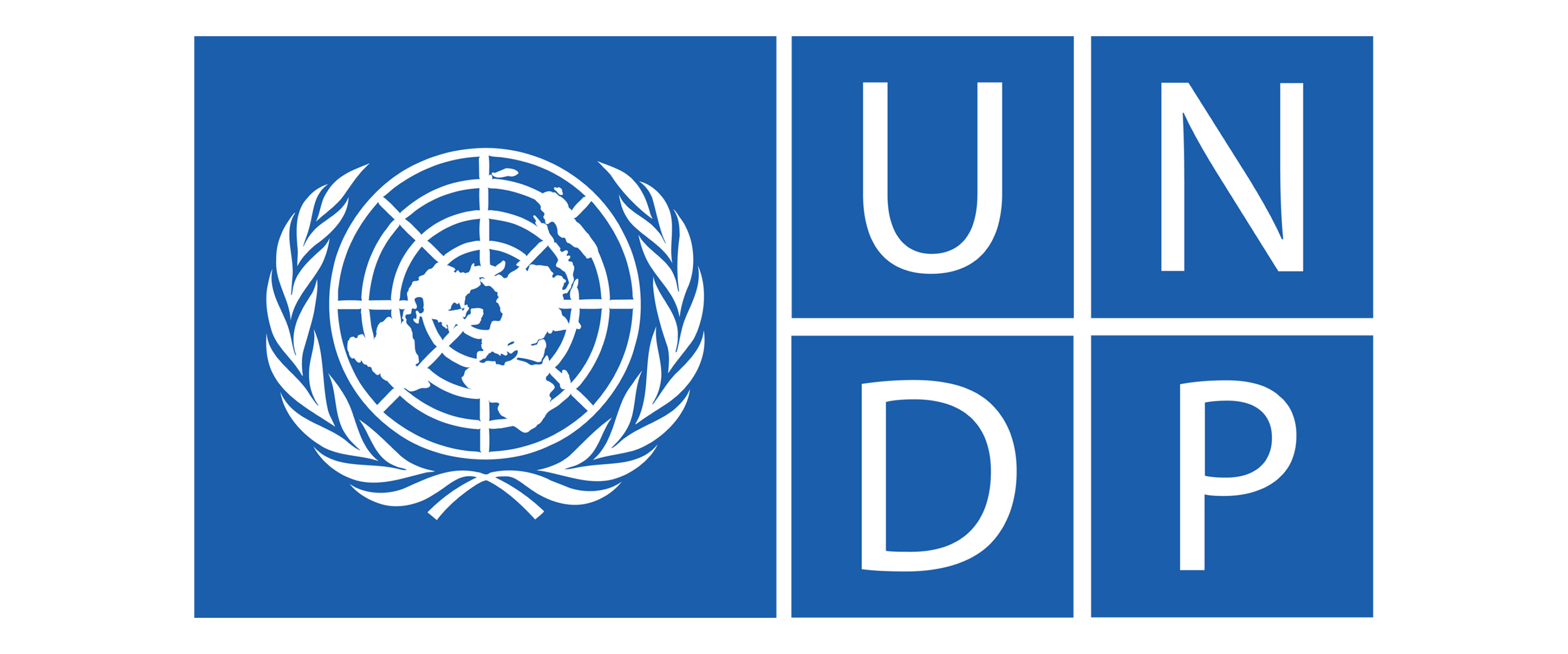 UNDP-1