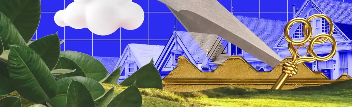 Website-blog-banner-5