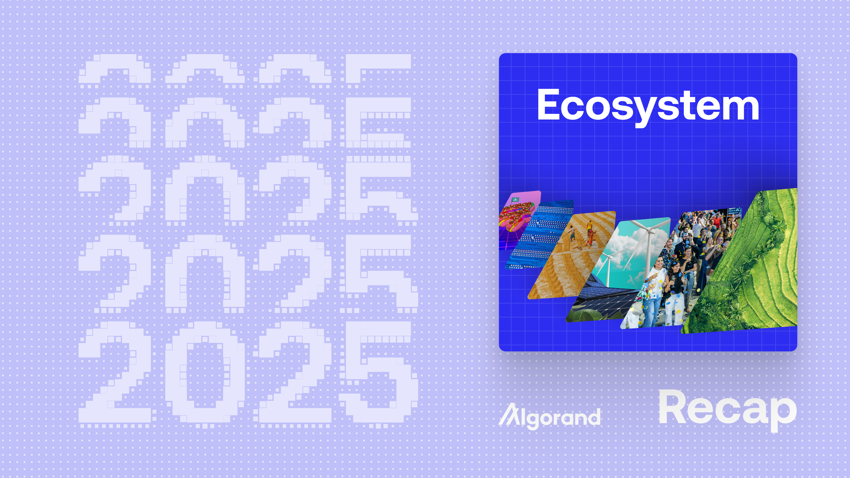 2025 on Algorand: You shipped