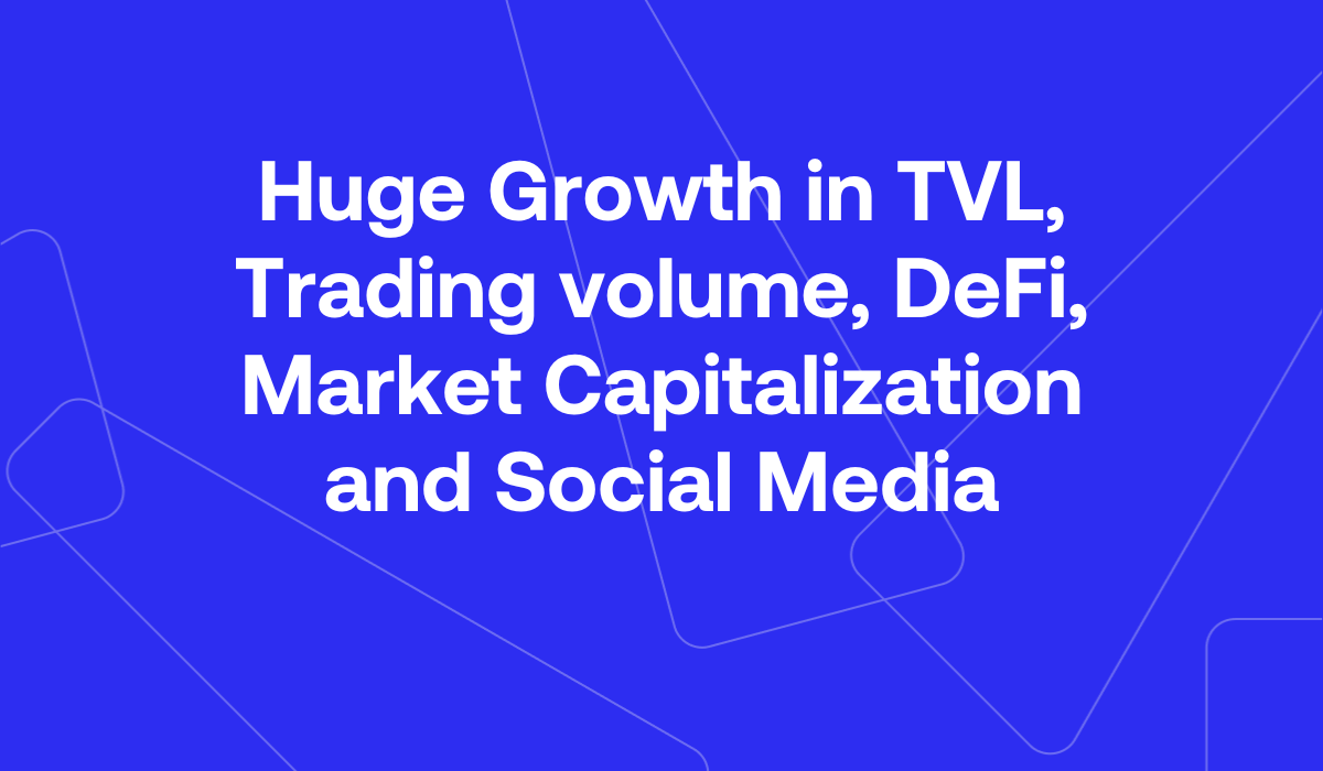 The Algo Insights Report: November 2024